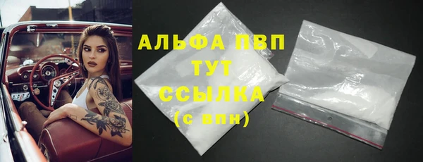 прущие грибы Нефтекумск