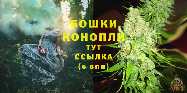 прущий лед Нея