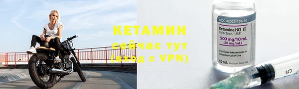 прущие грибы Нефтекумск