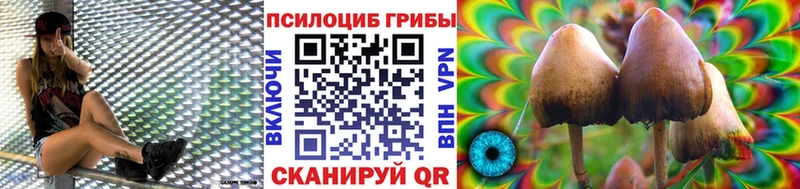 Псилоцибиновые грибы Cubensis  Карабаш 